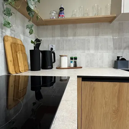 Sloneczny 42 아파트 카토비체