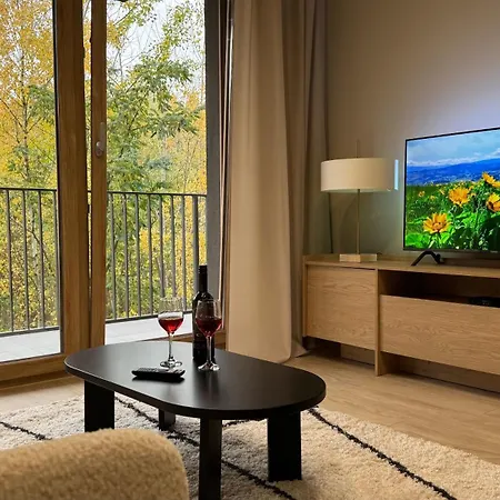 Sloneczny 42 아파트 *